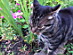 View full size picture