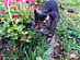View full size picture
