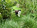 View full size picture