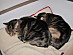 View full size picture