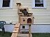 View full size picture