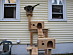 View full size picture