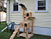 View full size picture