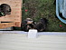 View full size picture
