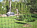 View full size picture