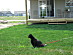 View full size picture