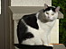 View full size picture