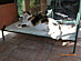 View full size picture
