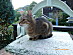 View full size picture