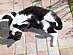 View full size picture