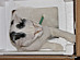 View full size picture