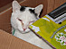 View full size picture