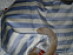 View full size picture