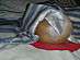 View full size picture