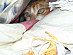View full size picture