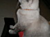 View full size picture