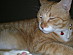 View full size picture