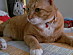 View full size picture