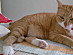 View full size picture