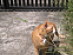 View full size picture