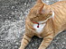 View full size picture