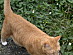 View full size picture