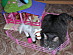 View full size picture
