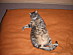 View full size picture