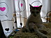 View full size picture