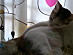 View full size picture
