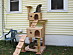 View full size picture