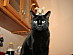 View full size picture
