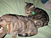 View full size picture