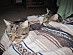 View full size picture