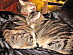View full size picture
