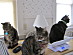 View full size picture