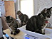 View full size picture