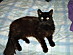 View full size picture