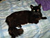 View full size picture