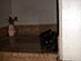 View full size picture