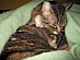 View full size picture