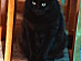 View full size picture