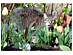 View full size picture