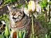 View full size picture
