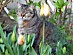 View full size picture