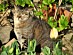 View full size picture