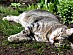 View full size picture