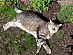 View full size picture