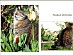View full size picture