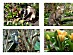 View full size picture